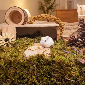 Forest-Themed Hamster Bedding Moss Coconut Soil for Syrian Hamster Cage Decoration Nest Building Digging Odor-Free Pet Supplies Hand-Picked Moss Sturdy Small Animal Hideout with Window fresh grass habitat