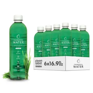 Chlorophyll Water (6-pack) Certified Clean Label, Chlorophyll Liquid Drops in Purified Water, Beauty Drink for Glowing Skin, Anti-Aging & Natural Detox with Plant-Based Vitamins A, B12, C, D3 (16.9oz)