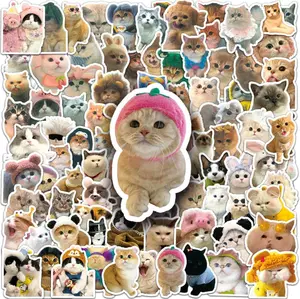 FREE GIFT 5pcs Random Sticker cat