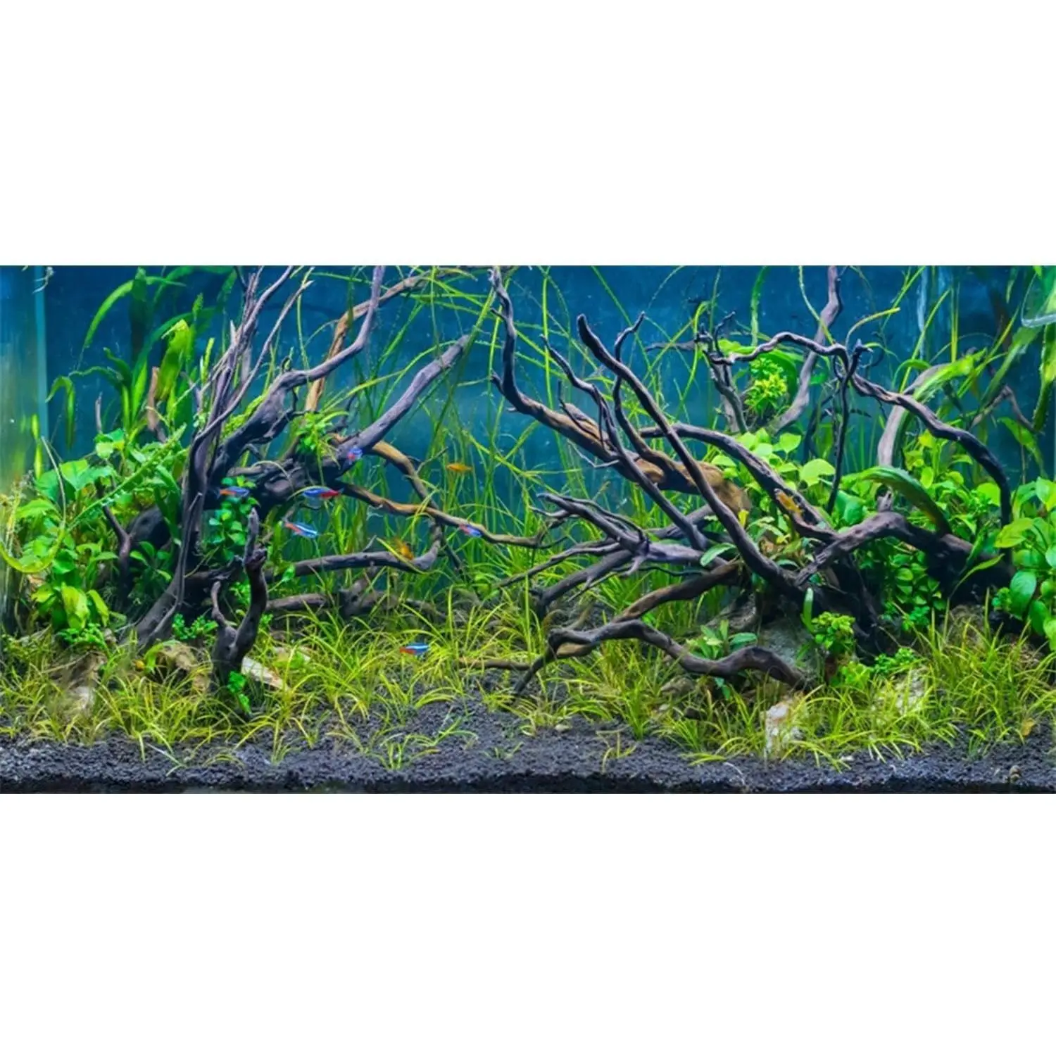 48x20 inches Tropical Fish Tank Background River Bed & Lake Aquatic Plant Undersea Tree Branch Aquarium Background Vinyl