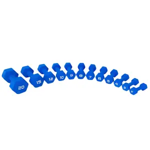 Apollo Athletics Neoprene Dumbbell Pairs