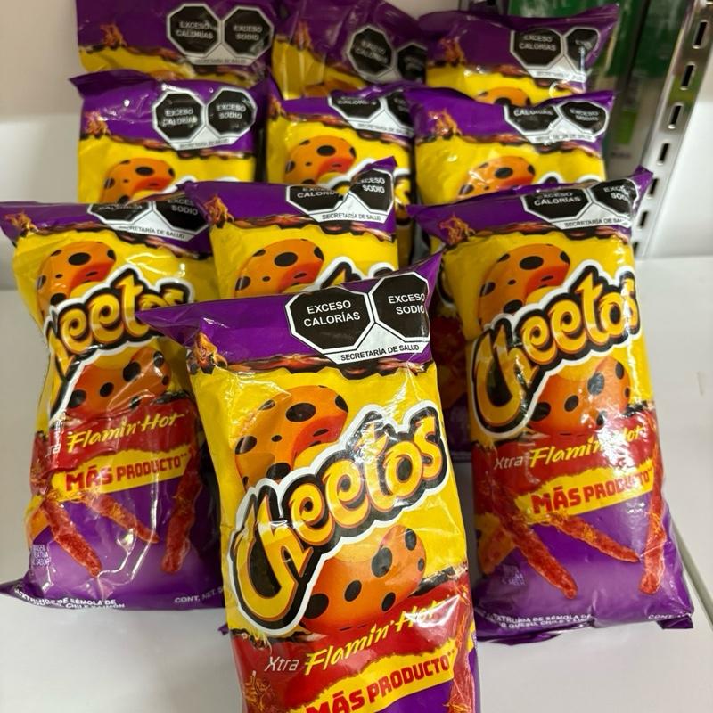 Cheetos Flaming Hot Chips Package 10 Bags Xtra Flamin Hot Snack Pack