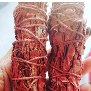 Dragon Blood Sage