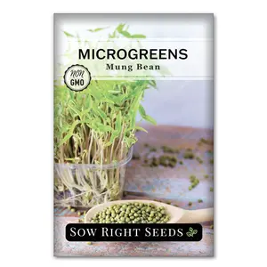 Microgreens Mung Bean
