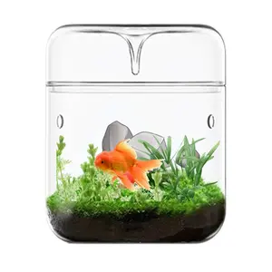 Aquarium Micro Landscape Tank Office Glass Desktop Round Ecological Ornamental Small Fish Tank Desktop Tank