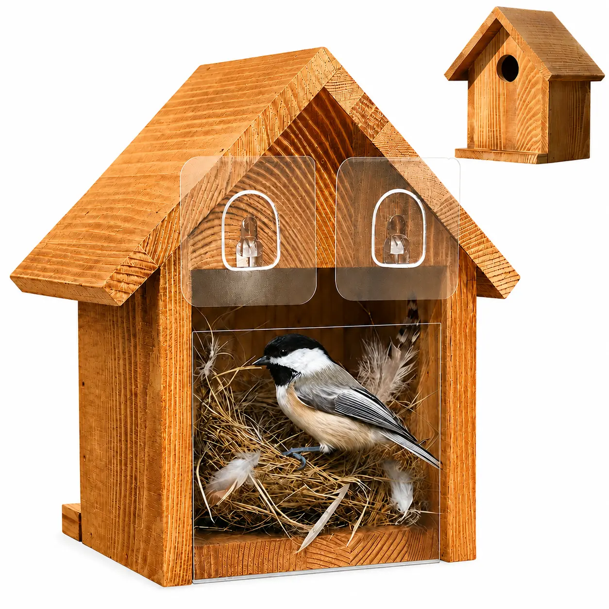 Window Wooden Bird House with Clear Viewing Panel, Weather-Treated Outdoor Nesting Box for Bluebirds, Wrens, Swallows, Finches & Chickadees
