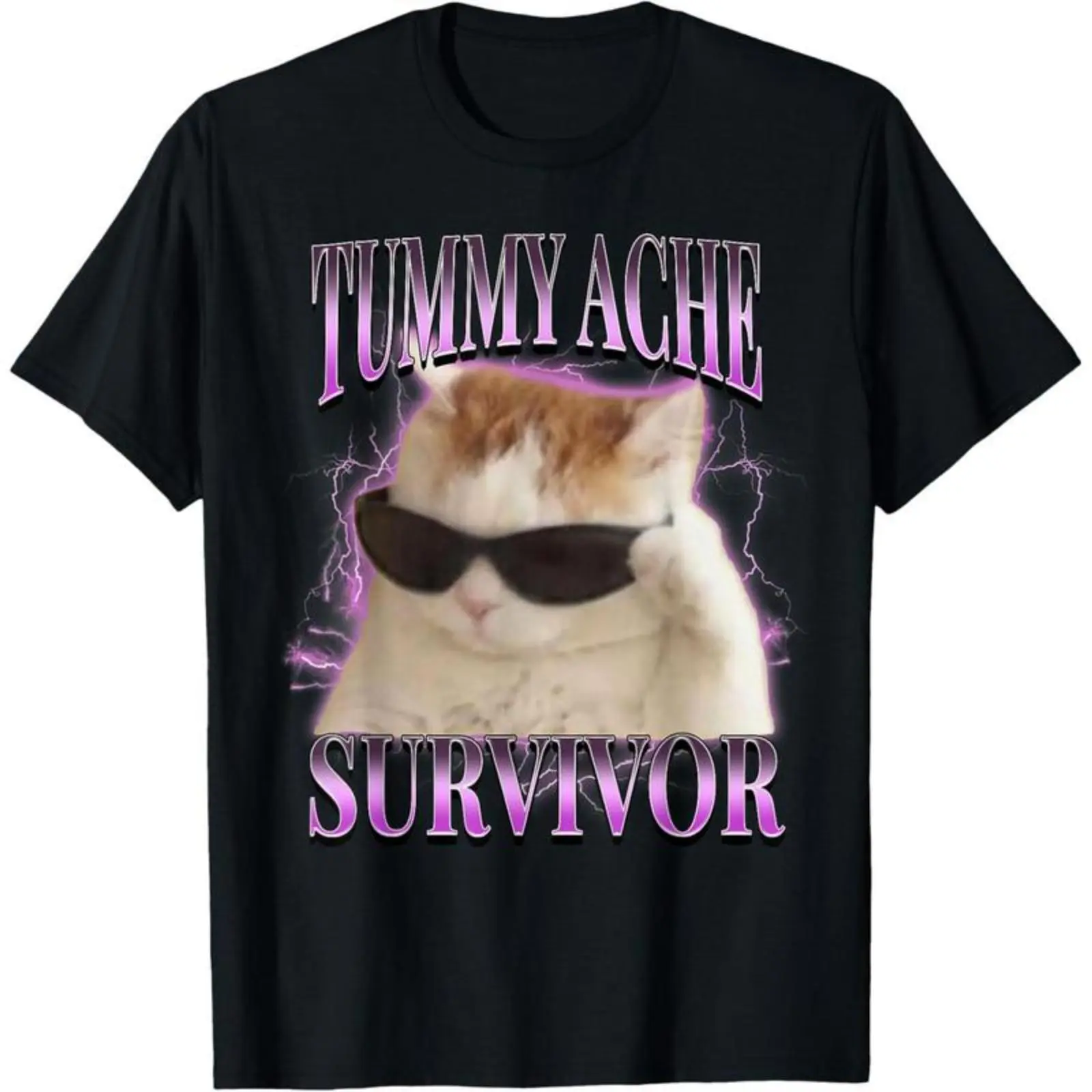 I Survived Tummy Ache Today Shirt - Silly Cat Meme Fun