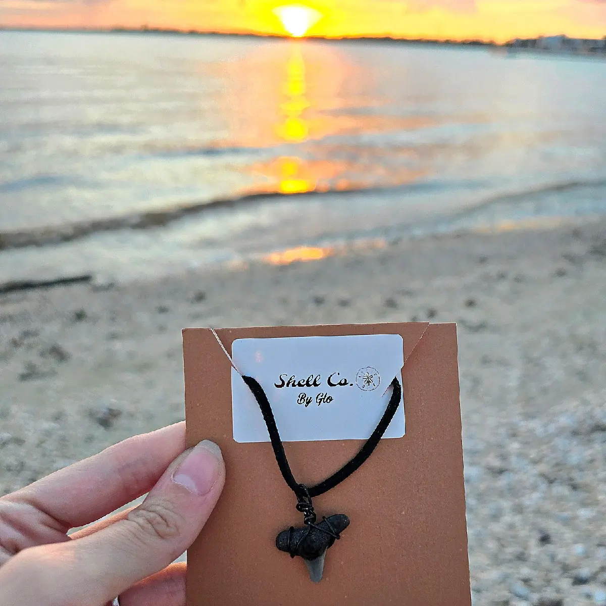Shark Tooth Necklace - Fashion Accessory Unisex