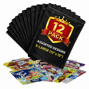 12 Pack X-Large 12" x 15" Organizer Bags Bundle Assorted Designs