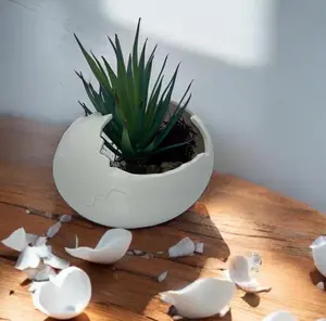Eggshell Planter | Cracked Egg Sculptural Succulent Pot