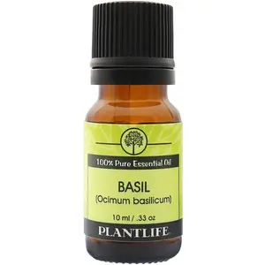 Plantlife Basil Essential Oil – Uplifting Herbal Aromatherapy