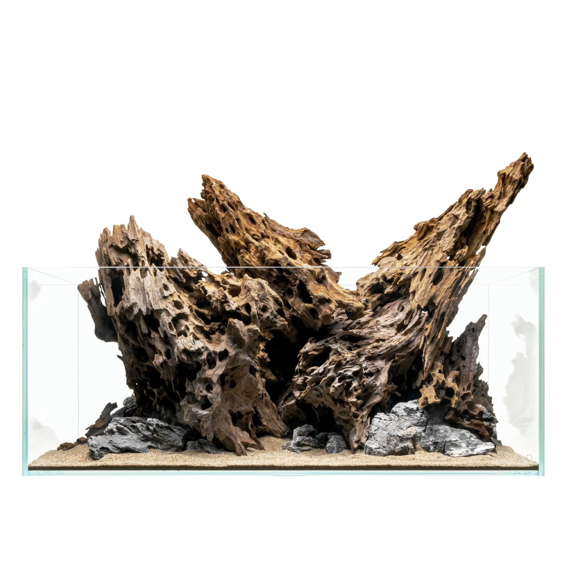 Dragon Driftwood | Aquascape Grade Dragon Driftwood | Aquascape Grade