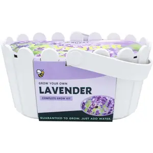 Seeds Grow Your Own Lavender Basket - Indoor Flower Grow Kit with Growing Medium, Easy Instructions, Decorative White Basket - Ideal Gardening  for Beginners  Lovers DIY