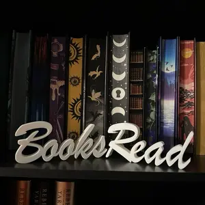 Bookshelf Decor, Bookish Merch, Reader Gift, Book Lover Gift