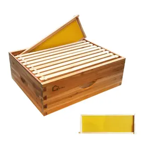 10 Frame Medium Super Bee Hive Box, Langstroth Honey Bee Hive Dipped in 100% Beeswax Include Beehive Frames and Wax Foundations for Beekeeping