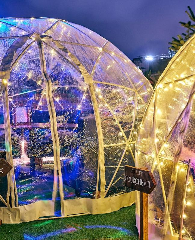 Easy-Setup 12FT Garden Igloo Greenhouse Dome – Transparent PVC Plant ...