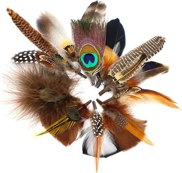 Plumes Pour Chapeaux - Accessoires Pour Fedora, Cowboy, Derby - Concours Chevaux Arabes - USA