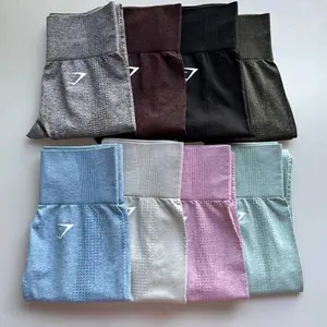 Seamless 2.0 Leggings for Women, Fitness Set Training Butt-Lifting Sports Leggings, Gym Apparel