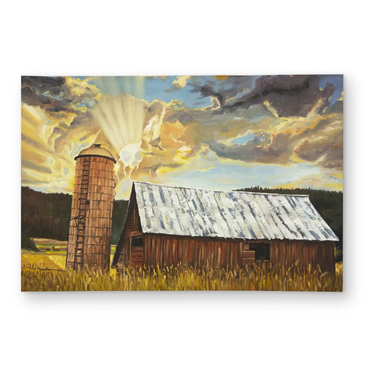360 stand Polyester Chenille Weave Rectangle Outdoor Rug - 2x3 ft Hay Barn & Mountain Nature Scene Print, Rustic Look, Printed Face, for Patio/Deck/Garden Home Decor, Landscape, 2' X 3', Chenille Area Rugs, Decorative Area Rug