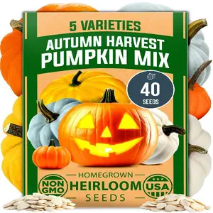 HOME GROWN 5 Pumpkin Seeds Mix - 40 Seeds | Non-GMO Heirloom Pumpkin Seeds for Planting. Ideal Garden Seeds for Unique Varieties Like Yellow Paris and Casper | Perfect for Culinary and Decorative Use