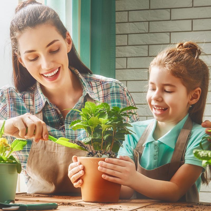 10 LBS Aquarium Gravel River Rock Stones, Natural Decorative Polished Mixed Colorfl Gravel,Outdoor Decorative Stones for Plant Aquariums, Landscaping, Vase Fillers