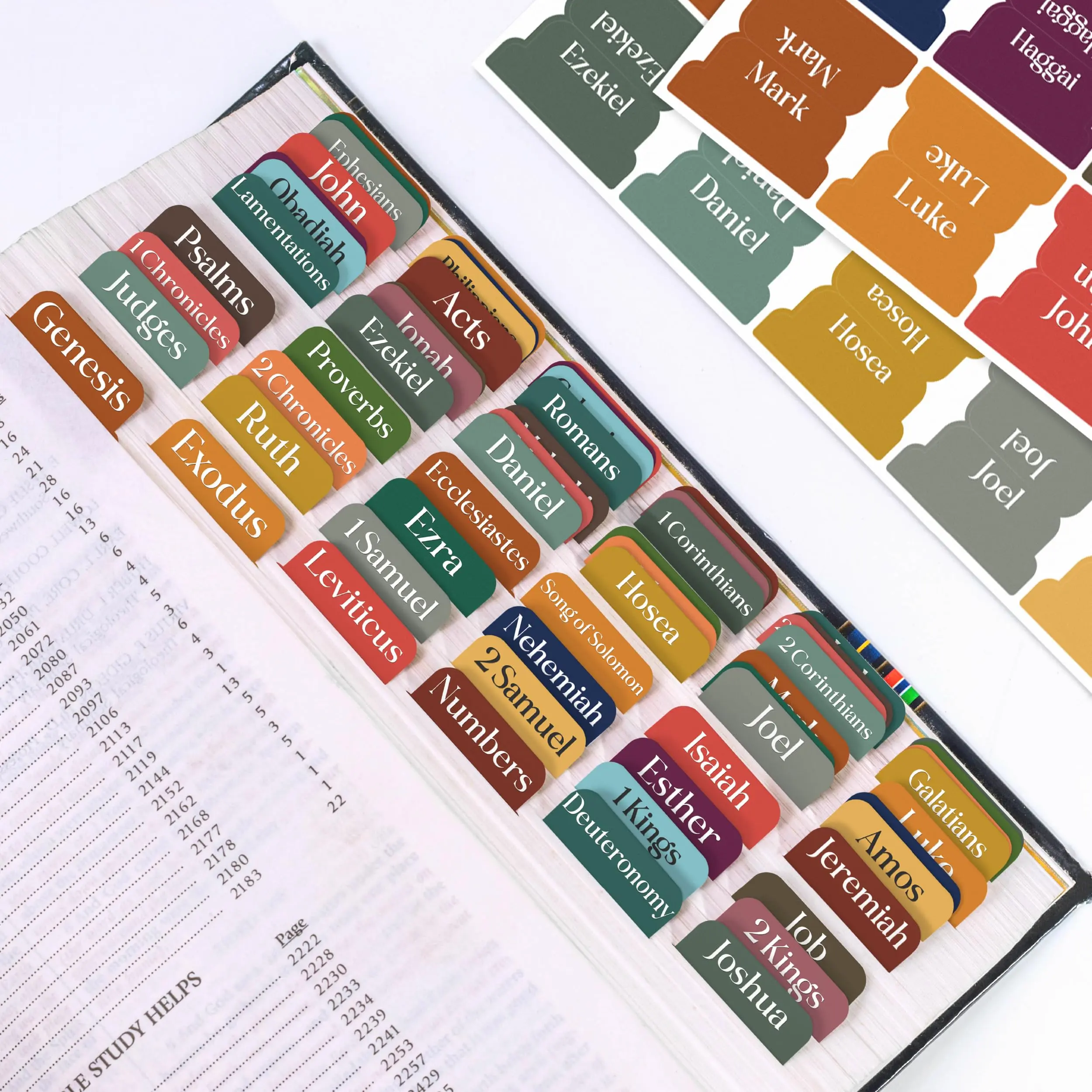 Bible Index Tabs, 90 Large Print Laminated Labels for 66 Books, 24 Customizable, Easy to Read Dividers, Scripture Navigation, Boho Theme