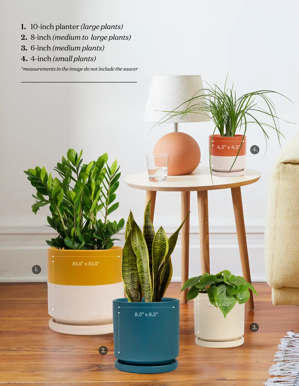 Isabella Ceramic Planter