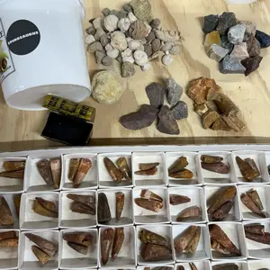 THE SPINOSAURUS QUART NATURAL CRYSTAL AND FOSSIL MINING BUCKET