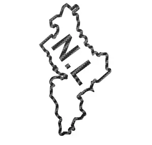 Mexican State Map Outline Nuevo León Vinyl Decal Sticker UV & Waterproof Bumper Window Laptop Automotive Water Bottle Gift accessories – CARBON FIBER 6.5"