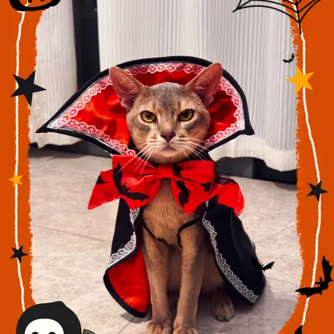 Pet Halloween Vampire Cape Costume for Cats & Small Dogs - Black Red Satin Cloak with Bat Bow, Lace Trim, Open Chest Design, Measure Neck Girth for No Tight Squeeze, Easy Wear for Photos, Parties