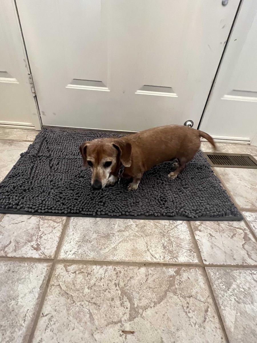 Item: Dark Grey, Large Mat - 24" x 35"