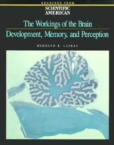 USED-The Workings of the Brain: Development, Memory, and Perception (Readings from Scientific American) by Rodolfo R. Llinas (Paperback)