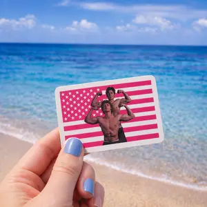 Hudson Connor Pink Flag Sticker, Heated Rivalry Ilya Shane Vinyl Sticker, Hockey Romance Bookish Sticker Gift for Fan
