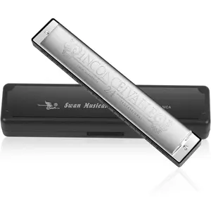Harmonica Professional Harp Armonica Key of C 24 Hole Polyphony Diatonic Mouth Organ with Case for Blues Folk Jazz Pop for Music Student Teacher Beginner