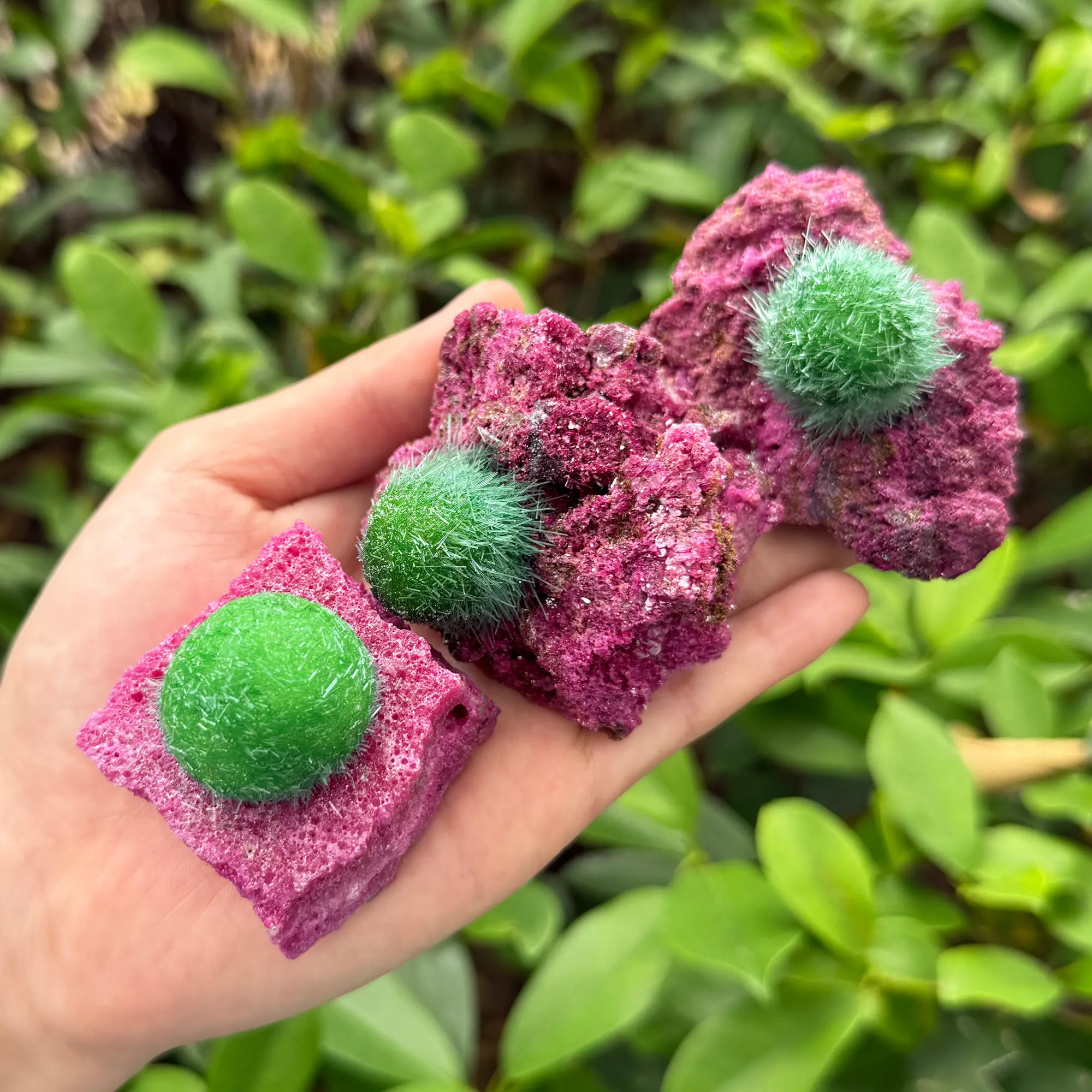 Natural Crystal Cluster, 50-80g Raw Ruby Dandelion Zeolite with Green Needle Ironstone for Reiki Healing and Home Decor, Crystals