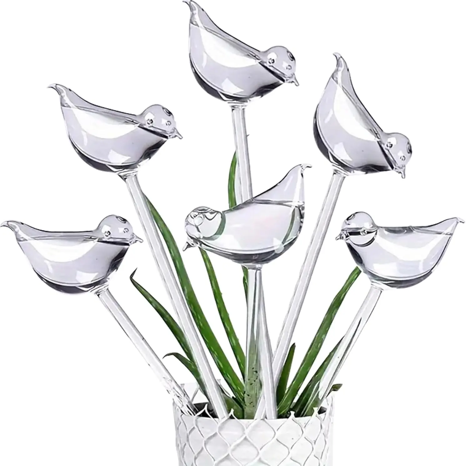 Bird-Shaped Self-Watering Plant Stakes Set of 6 or 10, Clear Plastic Watering Balls for Indoor & Outdoor Plants, Garden Supplies, Plant Watering Tool, Plant Watering Devices, Perfect Gift for Plant Lovers, Automatic Watering Stakes, Self Watering Spikes