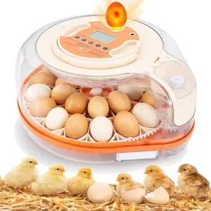 New Voice Control Egg Incubator for Hatching Chicks, Automatic Egg Turner Holds 26 Eggs, Smart Incubator 360° Clear Window with Temperature Display Egg Candler for Small Poultry Chickens Ducks Quails Eggs