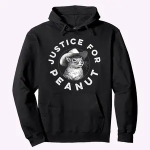 The Squirrel Tee - Peanut Squirrel Hoodie, Sweatshirt and T-Shirt, Long Sleeve Comfort Menswear Tops