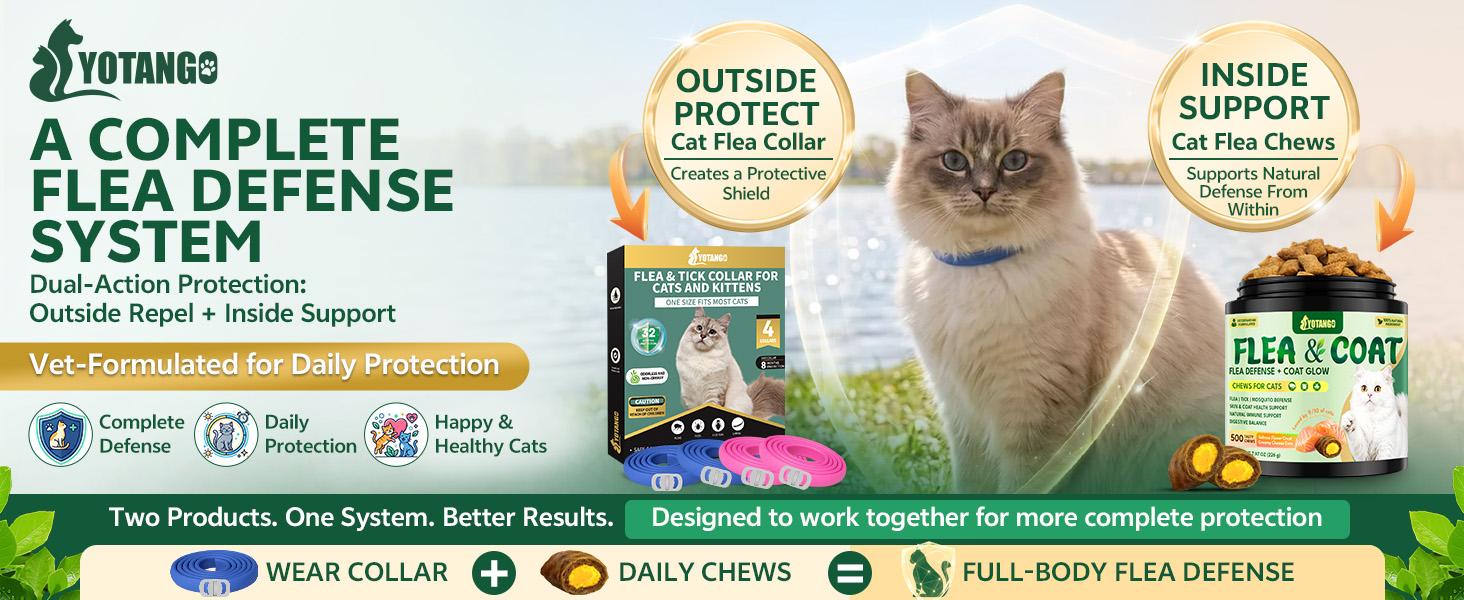 4 Pack Flea Collar for Cats, 32 Months Flea and Tick Prevention for Cat, Waterproof & Natural Cat Flea and Tick Treatment, Adjustable for Cats Kittens(Blue&Pink) #sohochic sohochic 4 Pack Flea Collar for Cats, 32 Months Flea and Tick Prevention for Cat, Waterproof & Natural Cat Flea and Tick Treatment, Adjustable for Cats Kittens(Blue&Pink) #sohochic sohochic