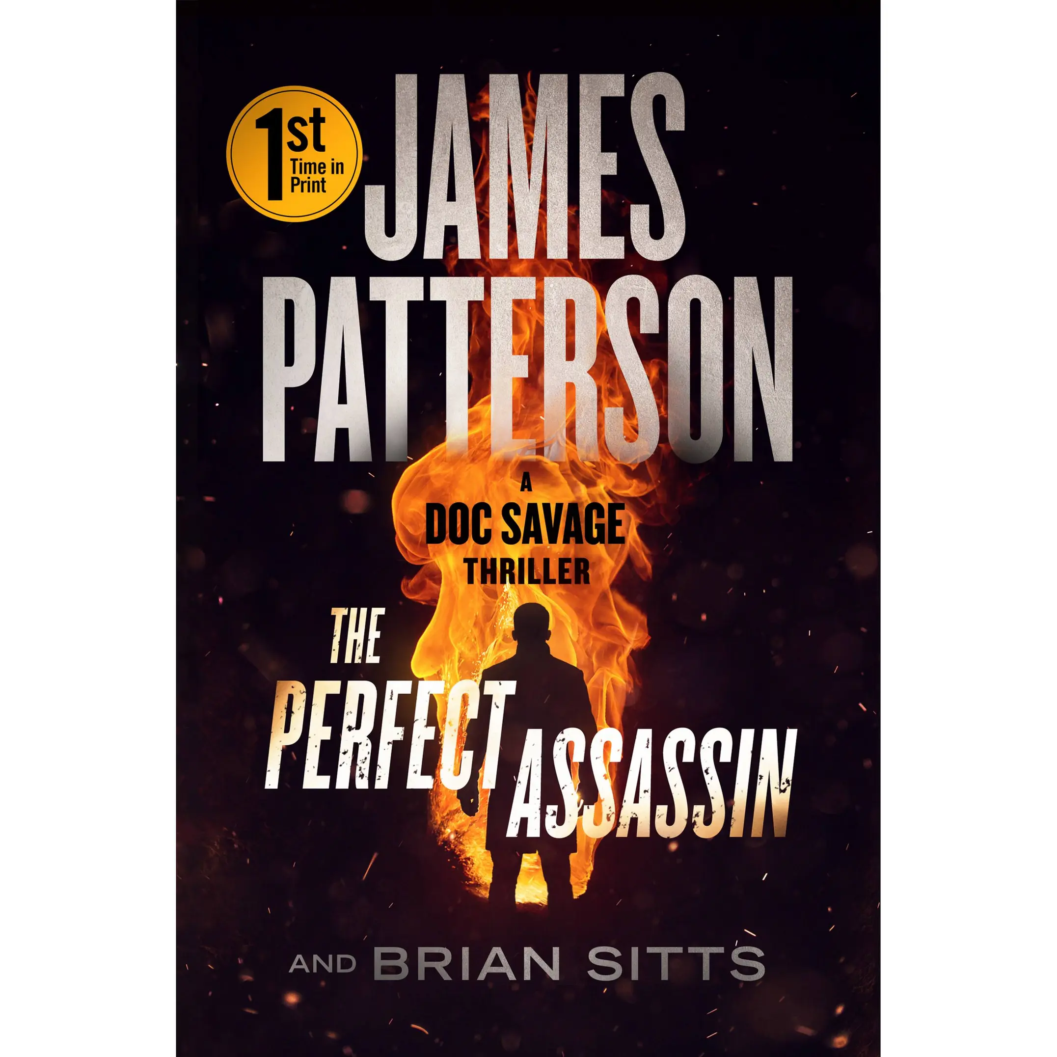 The Perfect Assassin by James Patterson, Brian Sitts [Paperback Book]