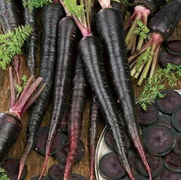 Black Nebula Carrot - 100+ seeds