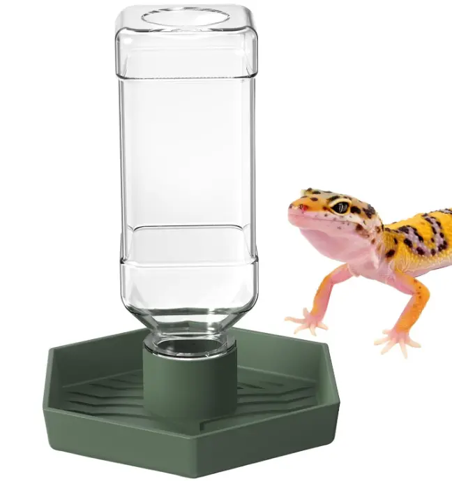 Reptile Water Dispenser-Bearded Dragon Water Bowl - Small Water Dish for Tortoise - Bowls for Reptiles & Amphibians