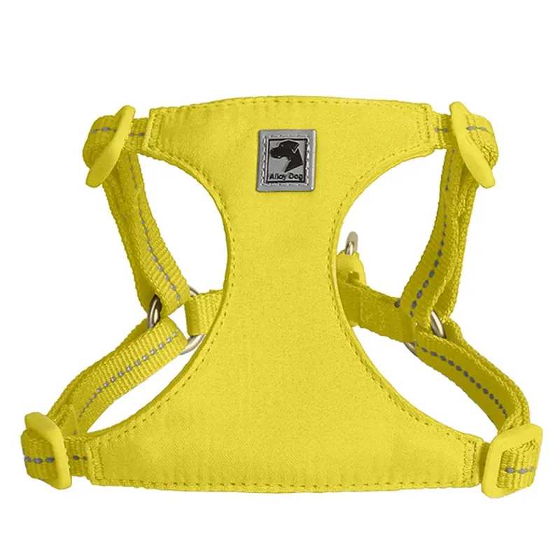 Lightning Yellow (without leash)