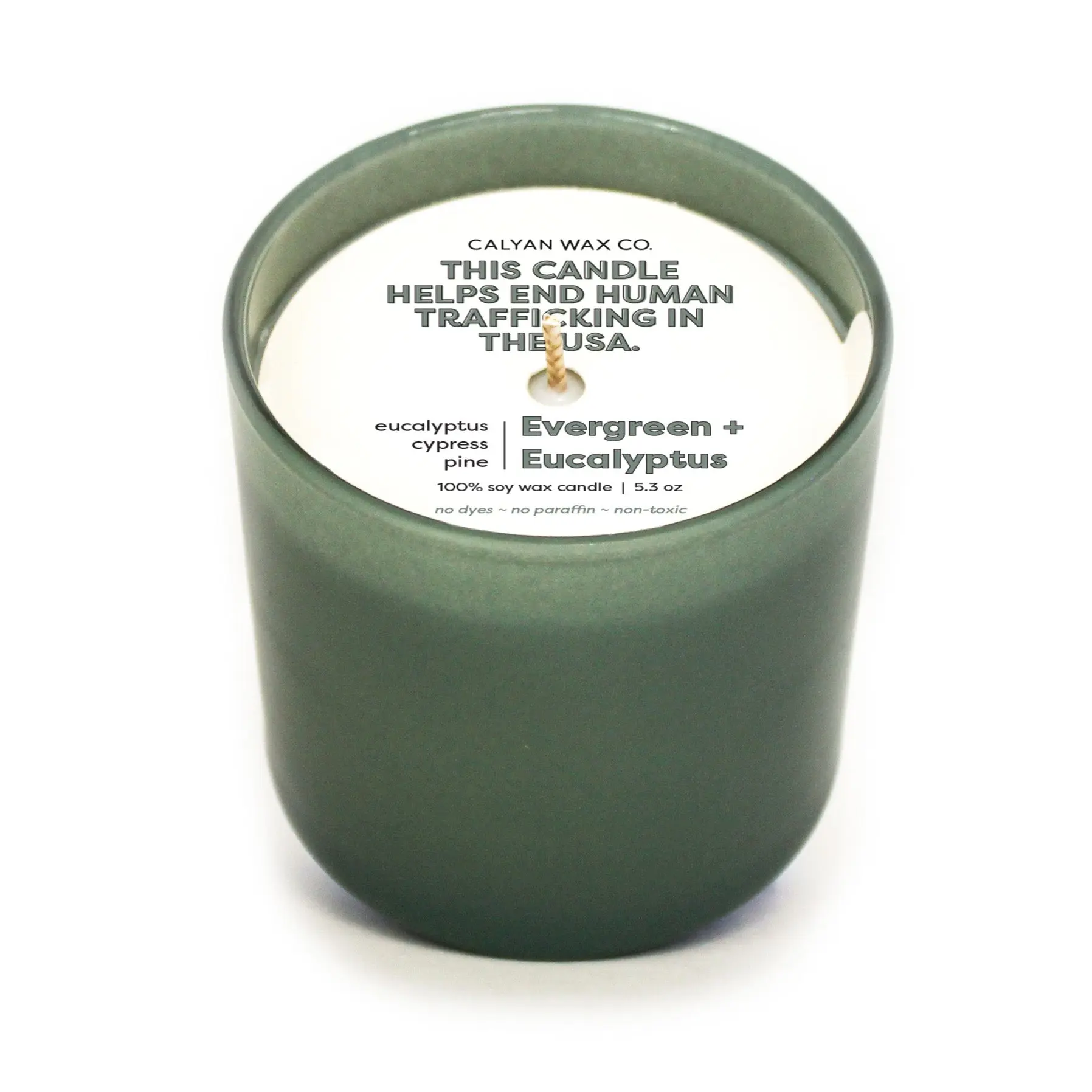 Evergreen + Eucalyptus Dignity Series Soy Candle