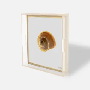Gilded Spiral Decor Minimalist - Golden Snail Shell on Orange Acrylic Tray - Modern Room Wall Art - Coastal Inspired Decor - Square 14x14x2