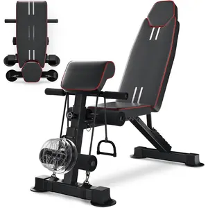 Adjustable Weight Bench, Foldable Incline Decline Flat Workout Bench for  Gym Full  Dumbbell Exercise, 660LBS Capacity (Black)