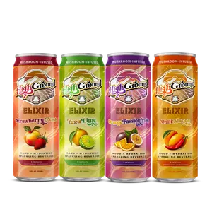 High Ground Elixir Variety 4pk - Strawberry Peach, Yuzu Lime, Orange Passionfruit, Chili Mango - Mood Elevating Nootropics with Lion's Mane Reishi Chaga with GABA and Electrolytes