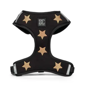 Limited Edition Rockstar Embroidered Harness