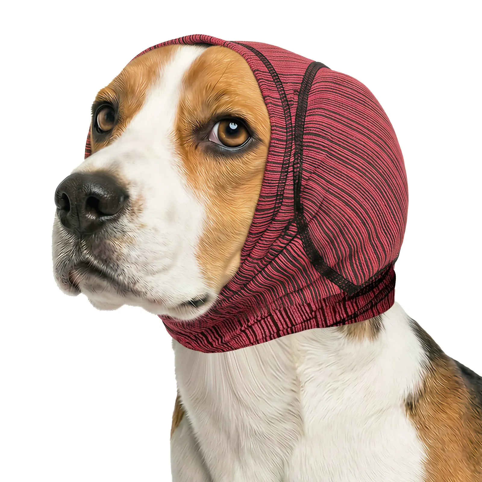 Summer integrated noise cancelling and soothing ear tips for dogs, used for noise reduction and hearing protection to prevent pets from being distracted and anxious. The high elasticity, breathable and soft material is suitable for swimming beaches