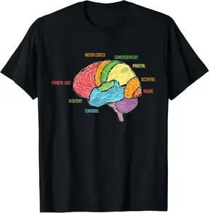 100% cotton Unisex Parts Of The Brain Anatomy Colorful Diagram Learning T-Shirt T-Shirt